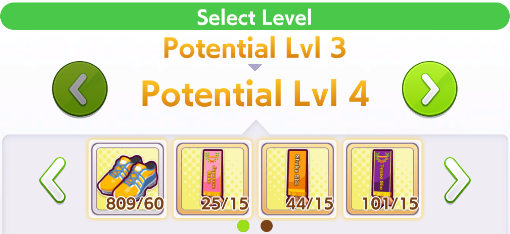 Image of Shoes sashes and dream glitter usage